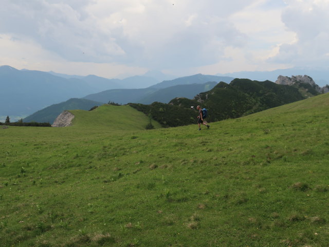 Frank auf der Scheibleggerhochalm, 1.660 m (5. Juni)