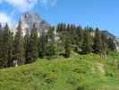 zwischen Heldenkreuz und Treffnersee (4. Juni)