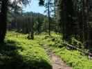 zwischen Treffneralm und Spielkogel (4. Juni)