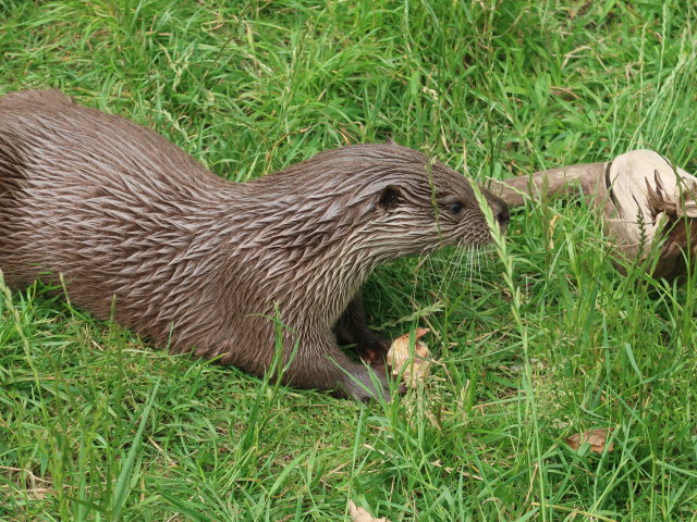UnterWasserReich in Schrems