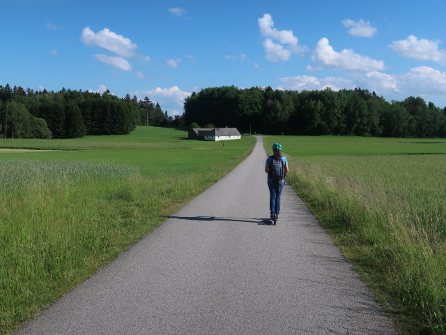 Sabine zwischen Brandhäuser und Edelprinz