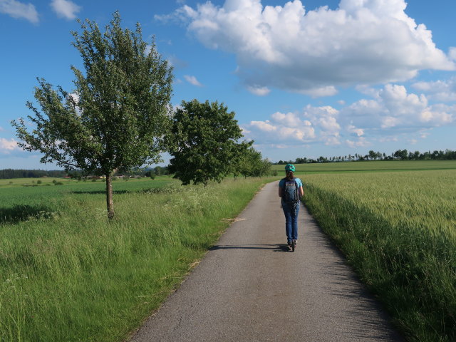Sabine zwischen Edelprinz und Jetzles