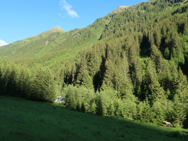 Gschnitztal (11. Juni)