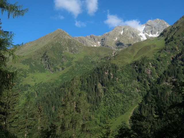 Glättealm (11. Juni)