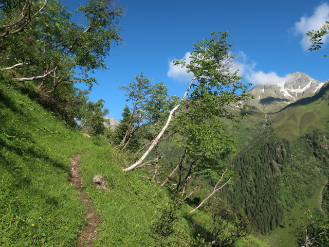 zwischen Gschnitztal und Gargglerin (11. Juni)