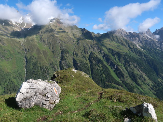 zwischen Gschnitztal und Gargglerin (11. Juni)