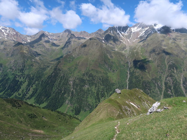zwischen Gargglerin und Gschnitztal (11. Juni)