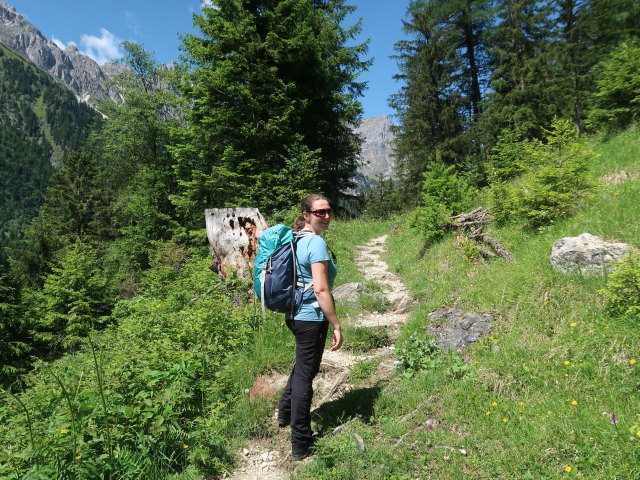 Sabine zwischen Gschnitztal und Vordersandes (11. Juni)