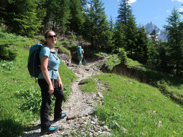 Sabine zwischen Gschnitztal und Vordersandes (11. Juni)