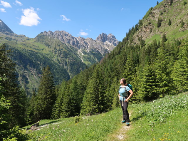 Sabine zwischen Gschnitztal und Vordersandes (11. Juni)