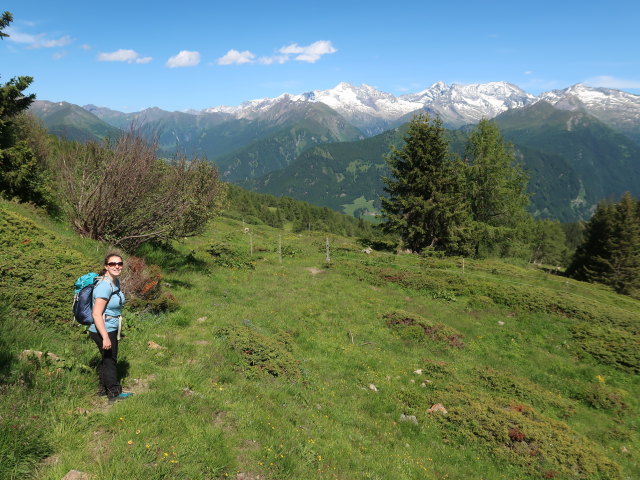 Sabine zwischen Egger Joch und Egger Mähder (12. Juni)