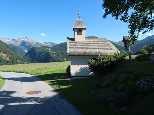 zwischen Nösslachhütte und Gries am Brenner (12. Juni)