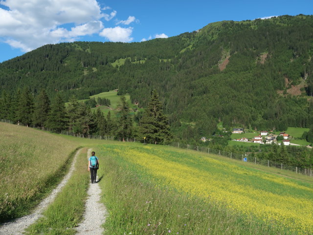 Sabine zwischen Nösslachhütte und Gries am Brenner (12. Juni)