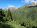 zwischen Gschnitztal und Gargglerin (11. Juni)