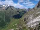 zwischen Gargglerin und Gschnitztal (11. Juni)