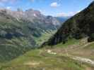 zwischen Gargglerin und Gschnitztal (11. Juni)