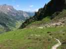 zwischen Gargglerin und Gschnitztal (11. Juni)