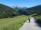 Sabine zwischen Nösslachhütte und Gries am Brenner (12. Juni)