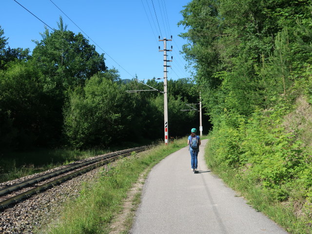 Sabine zwischen Schwerbach und Kirchberg an der Pielach