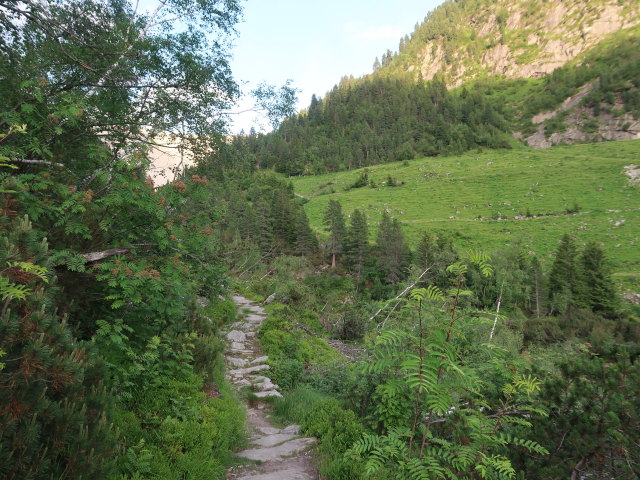 zwischen Bärenbadalm und Speicher Zillergründl (17. Juni)