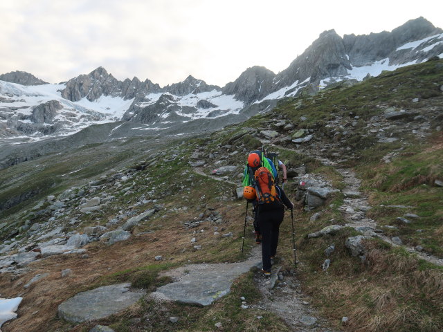 zwischen Plauener H&uuml;tte und Kuchelmooskees (18. Juni)