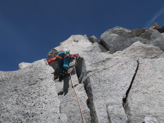 Irene zwischen Zillerkees und Wildgerlosspitze (18. Juni)