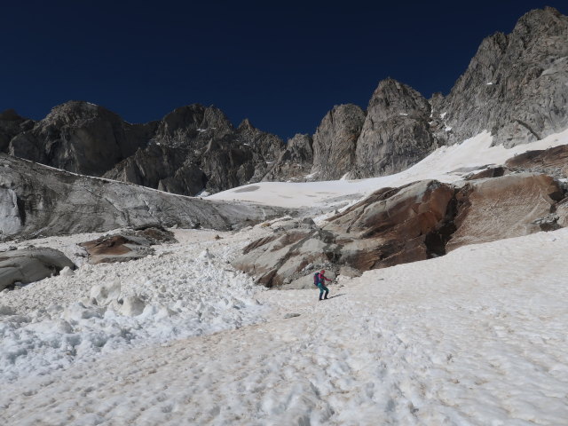 Irene zwischen Kuchelmooskees und Plauener H&uuml;tte (18. Juni)