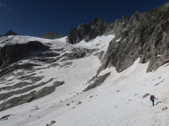 Irene zwischen Kuchelmooskees und Plauener H&uuml;tte (18. Juni)