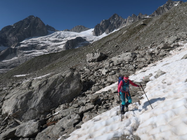 Irene zwischen Kuchelmooskees und Plauener Hütte (18. Juni)