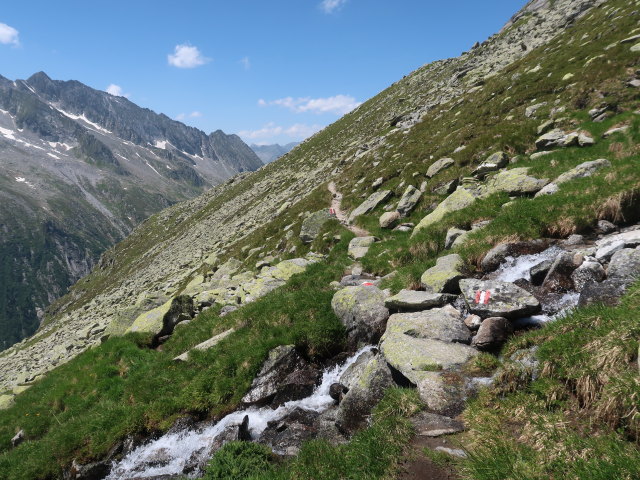 zwischen Hohenaukar und Plauener H&uuml;tte (19. Juni)