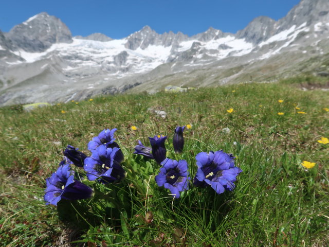 zwischen Plauener H&uuml;tte und Sonntaglahnerkopf (19. Juni)