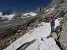 Irene zwischen Kuchelmooskees und Plauener Hütte (18. Juni)