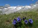 zwischen Plauener Hütte und Sonntaglahnerkopf (19. Juni)