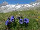 zwischen Plauener Hütte und Sonntaglahnerkopf (19. Juni)