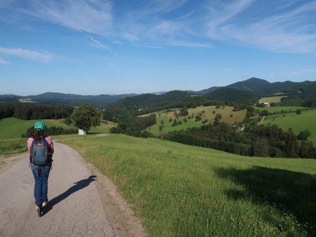 Sabine zwischen Brennhof und Kaumberg