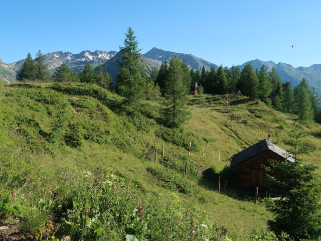 zwischen Häusleralm und Lonzaköpfl (2. Juli)