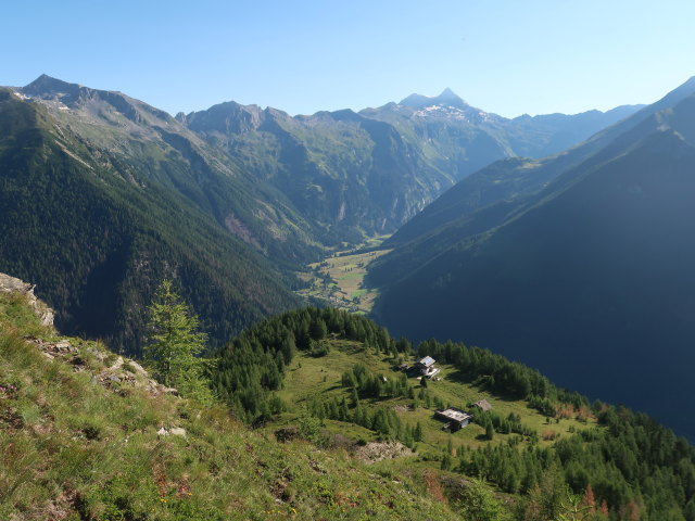 zwischen Häusleralm und Lonzaköpfl (2. Juli)