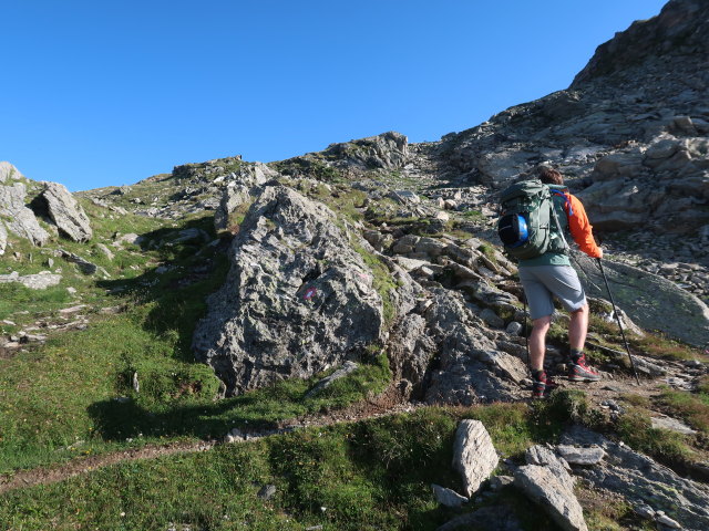 Christian zwischen Duisburger Hütte und Eisseehaus (3. Juli)