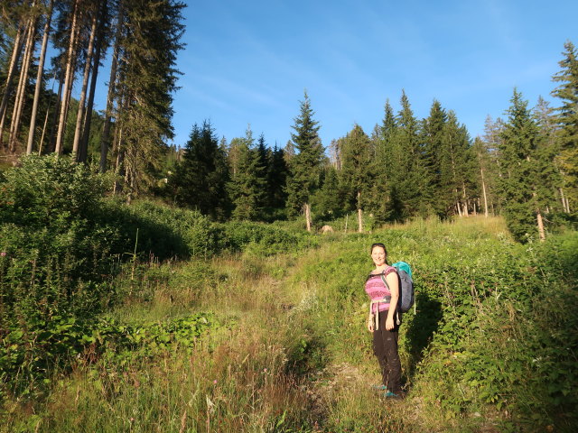 Sabine zwischen Drau und Forchkaser (9. Juli)