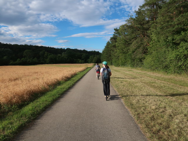 Sabine zwischen Wöllersdorf und Steinabrückl