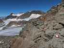 zwischen Becherhaus und Vogelhütte (18. Juli)