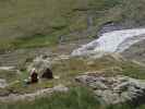 zwischen Teplitzer Hütte und Grohmannhütte (18. Juli)