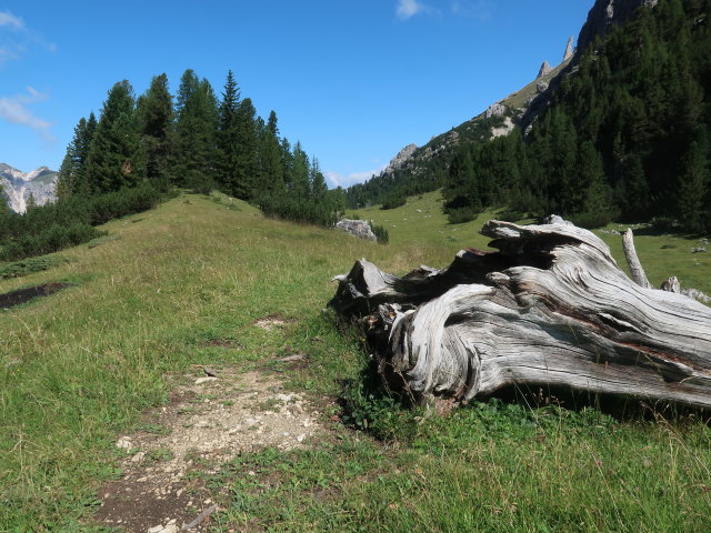 Dolomitenhöhenweg auf der Dürrensteinalm