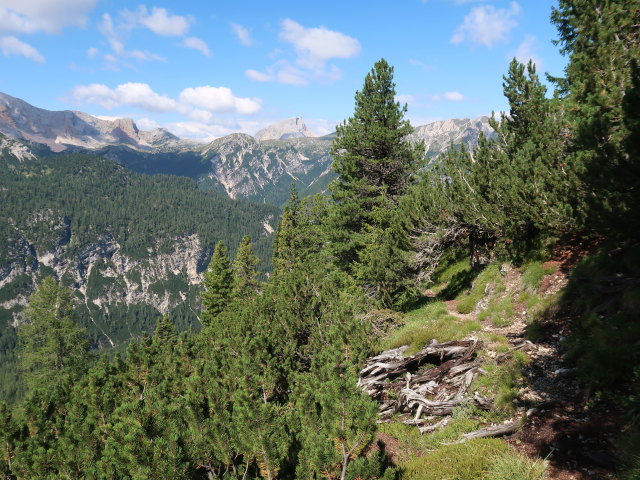 Dolomitenhöhenweg zwischen Dürrensteinalm und Kirchler Scharte