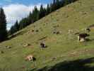 Dolomitenhöhenweg zwischen Sarlsattel und Putzalm