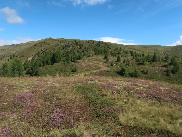 zwischen Gamperlehütte und Böses Weibele