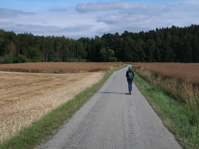 Sabine zwischen Hessendorf und Oberh&ouml;flein