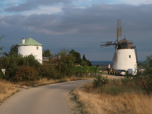 Windm&uuml;hle in Retz