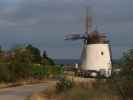 Windmühle in Retz