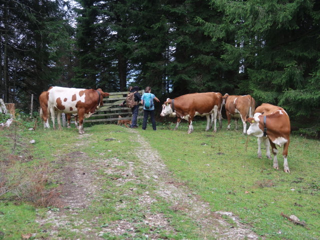 Hannelore, Manuel und Sabine am Langboden